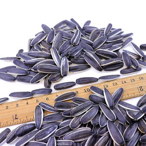 Premio di alta qualità <span class=keywords><strong>Non</strong></span> ogm grado di esportazione semi di girasole crudo 170-180 all'ingrosso alla rinfusa nuovo raccolto 2025 semi di girasole - Product Image 5