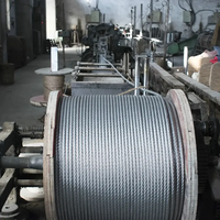 Chinesische Fabrik Maßgefertigtes 7x7 2,5mm Stahlseil - PVC/PA/Nylon Beschichtetes Hochfestes Verzinktes Flugzeugkabel