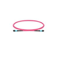 10G 100G MM OM3 OM4 OM5 MTP 48 Fibres 48 Core MPO Connecteur Trunk Cable Fiber Optic Patch Cord