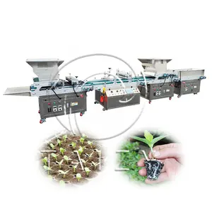 full automatic seeds seedling planting machine rose vegetable plants nursery seedlings