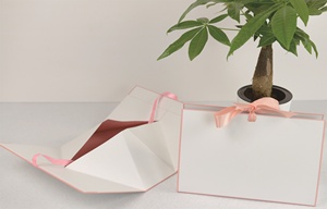 Good Quality Manufacturers Wholesale Simple Fashion <strong>Exquisite</strong> Gift <strong>Box</strong> + <strong>Paper</strong> Bag Set - Product Image 4