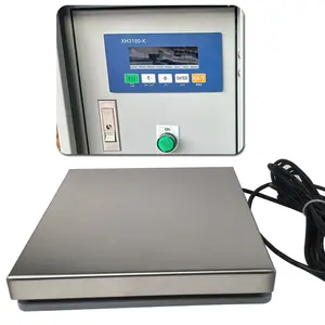 30kg/1g PLC Control Electronic Filling Scale for Liquid Powder Gas Auto Filling Peak Holding Function from 1kg to 30t