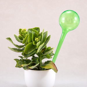 Sfere Trasparenti per Irrigazione Automatica delle Piante, Dispositivo per Innaffiare Automaticamente, Sistema di Irrigazione a Goccia per Piante da Interno - Product Image 6