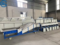 Hoogwaardige fruit sorteermachine speciaal voor appel, citrus, sinaasappel, citroen, automatische sorteermachine op basis van formaat