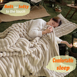 सोफे कार के आउटडोर कवर पर नप के लिए थोक बहु-कार्यात्मक प्लग ऑल-सीजन वातानुकूलित कंबल - Product Image 3