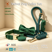 Ensemble collier et laisse pour chien en velours en gros, fabricant de colliers pour chien personnalisés, collier pour chien réglable, mignon et durable pour le dropshipping, OEM, ODM