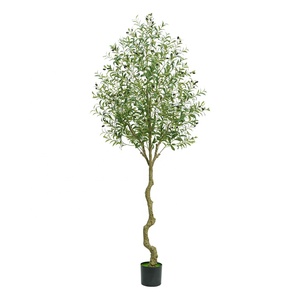 Élégant <span class=keywords><strong>olivier</strong></span> artificiel qui rehausse l'ambiance dans n'importe quelle pièce, bureau ou jardin. Oliviers artificiels d'intérieur. - Product Image 1