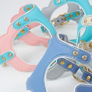 Arnés de Lujo para Perro en Tono Dorado con Herrajes de Primera Calidad, Arnés Acolchado para Pasear Mascotas con Detalles de Cristal, Ropa de Diseño para Mascotas OEM - Product Image 4