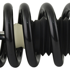 Amortiguador Delantero Profesional 153028 con Resorte Helicoidal para Dodge Ram 1500 y Ram 1500 Classic - Product Image 5