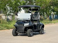 Voiturette de golf électrique tout-terrain 4x4, 2 places, 72V, robuste, avec boîte de chargement arrière, pour la ferme, la chasse, la propriété, 10KW, Lithium Buggy Pro