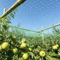 Filet anti-oiseaux stabilisé aux UV LCL pour la protection des baies, vignobles, champs de citrouilles, jardins, serres, volières, arbres fruitiers et cultures (Royaume-Uni)