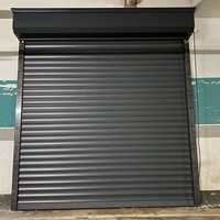 Puerta de Garaje Enrollable de Aluminio Aislada Moderna, Color Gris Antracita, Automática, con Espuma de PU, Seccional, para Viviendas Residenciales