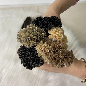 レミー二重描画レミーケラチンボンドフラットU Iチップ人間のヘアエクステンション