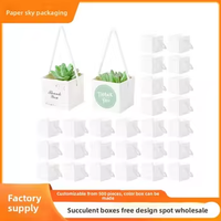 Sac d'emballage personnalisé pour cactus, emballages pour plantes succulentes, boîte cadeau pour plantes avec poignées en plastique