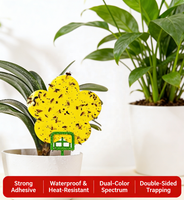 Fabrieksdirecte verkoop, op maat gemaakt in diverse formaten, gele kleefplaat van plastic, kleverige fruitvliegval, insecten- en insectensticker, kleefval.