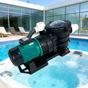 Système de <span class=keywords><strong>filtration</strong></span> de <span class=keywords><strong>piscine</strong></span> au <span class=keywords><strong>meilleur</strong></span> prix, système de <span class=keywords><strong>filtration</strong></span> de <span class=keywords><strong>piscine</strong></span> <span class=keywords><strong>pour</strong></span> <span class=keywords><strong>piscine</strong></span> commerciale, <span class=keywords><strong>filtration</strong></span> circulante grande capacité - Product Image 3