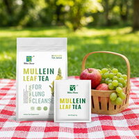 Tisane botanique aux fleurs de molène Wins Town, emballée individuellement, thé végétal naturel, vente en gros et OEM