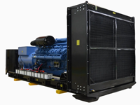 Erneuerbare Energie 200kW Biogas-Generatorset für Landwirtschaftliche Abfälle & Organische Abfallvergasung zur Stromerzeugung