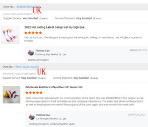 Venta al por mayor de plumas de hadas de colores de pavo, artesanía a granel, palo de cola, juguete para mascotas, varita interactiva para interiores, juguete de plumas de piel - Product Image 6