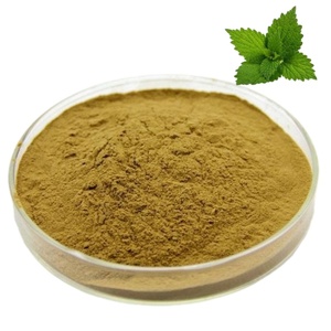 %100 Doğal Isırgan Yaprağı Tozu Besin Takviyeleri İçin Isırgan Yaprağı Ekstresi Tozu %0,8 Silika Tozu - Product Image 1