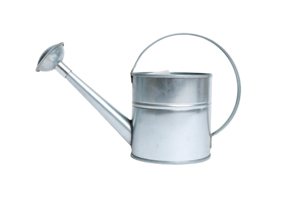 Lata de agua 2L Regadera de metal Suministros galvanizados Herramientas para plantas de jardinería de interior al aire libre con mango y pico - Product Image 2