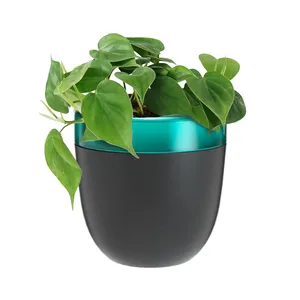 Self watering planter for Indoor plants grow light flowerpot planter pots mini smart garden plant grow set growing garden