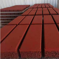 Poudre d'oxyde rouge à dispersion fine Pigments rouges Colorant Fe2O3 pour pigment de revêtement pour cylindre de poudre de couleur Holi