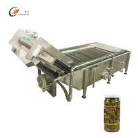 Machine à laver entièrement automatique, capes pour feuilles de bassin, casava, bulle, machine à laver