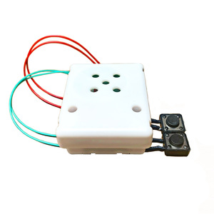 Mô-đun Âm Thanh Bóp Hộp Ghi Âm Điện Tử Nút Chip Tùy Chỉnh Mô-đun Cho Đồ Chơi Sang Trọng Peluches Sách Âm Nhạc - Product Image 2