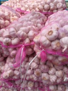 2025 nuovo raccolto aglio fresco dal produttore normale bianco Alho Ajo fornitura diretta all'ingrosso - Product Image 2