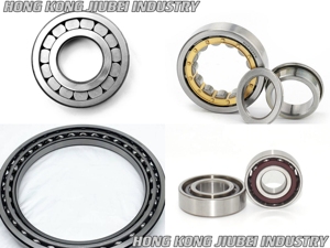 Source Factory NU224E Direct <b>Roller</b> Compatible Motors Long-Life Bearing - Product Image 6