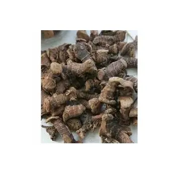 Galangal Tincture Root Extract Free sample 100% Pure Organic Alpinia Galanga Root Extract Powder from india