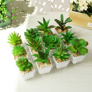 Mini nhựa mọng nước trong nồi nhựa mini mọng nước nhân tạo thực vật - Product Image 2
