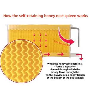 Venta caliente Caja de colmena de abeja de madera Precio competitivo Miel Automático Auto Colmena de flujo automático - Product Image 5