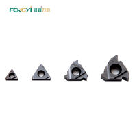 Fengyi Customized Indexable CNC Tool H Threading Inserts Tungsten Carbide AG 60 Threading Turning Inserts