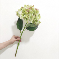 Bunga Hydrangea Kuning Artificial Preserved Real Touch untuk Dekorasi Pernikahan Modern Grosir, juga untuk Natal