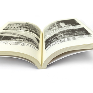 Stampa di Libri Personalizzati in Stile Vintage Premium con Stampa a Caldo in Oro e Copertina Morbida - Product Image 2