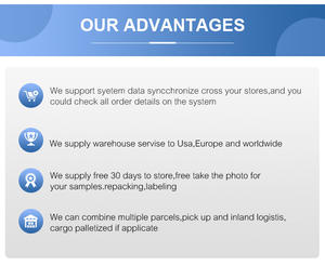 <span class=keywords><strong>Service</strong></span> professionnel rapide de transitaire de fret maritime lcl ddp vers l'Europe et la Serbie - Product Image 6