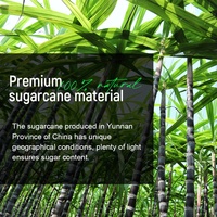 Chinaherbs Améliore le désir féminin Doux et sans irritation Bonbon édulcorant Yoni Plaisir Bonbon Yoni pour l'humidité vaginale