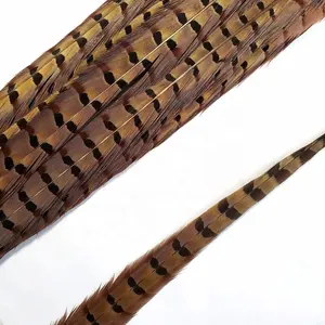 सस्ते बिक्री 50-55cm प्राकृतिक और रंगीन लंबी थोक कार्निवाल वेशभूषा प्राकृतिक Ringneck तीतर पूंछ पंख