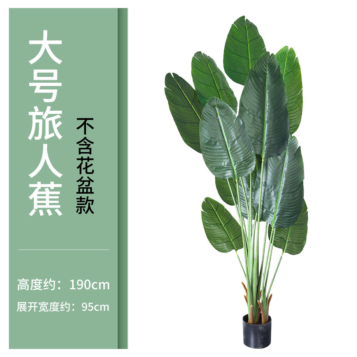 1,85 m voyageur banane grand bonsaï