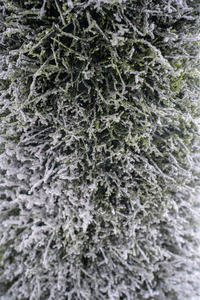 Árboles Artificiales de Plástico y Metal Simulados Verdes de Treesmas para Decoración de Plantas de Jardín Interior y Exterior - Product Image 2