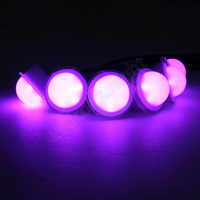 Lumière LED RGB programmable à pixels 24V pour extérieur, ampoule LED à pixels pour manèges de parc d'attractions