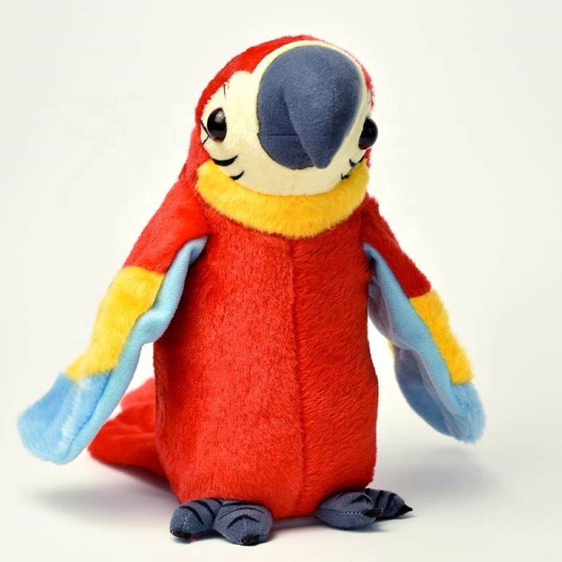 Children Gift Parrots Learn to Talk