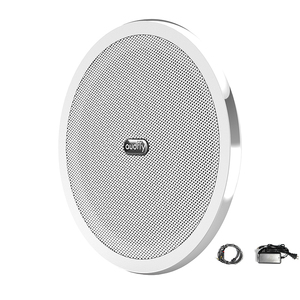 Altoparlante Acustico ad Alta Frequenza con Amplificatore Integrato, Montaggio <span class=keywords><strong>a</strong></span> Parete, Diffusore Sonoro Ultrasonico - Product Image 3