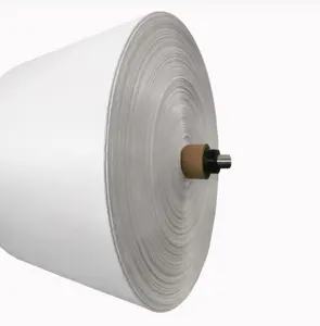 Wholesales Supply PP Fabric Roll Woven Polypropylene Bags Roll PP Fabric Roll For Agriculture