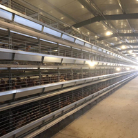 Système de cages automatiques en H pour poulets de basse-cour destiné aux fermes avicoles commerciales, avec équipement d'alimentation, d'abreuvement et de nettoyage du fumier