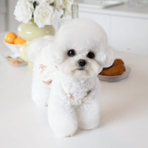 กระโปรงลูกไม้พิมพ์ลายดอกไม้กระโปรงตุ๊กตาสุนัขแมวเสื้อผ้าแฟชั่นญี่ปุ่นและเกาหลี - Product Image 4