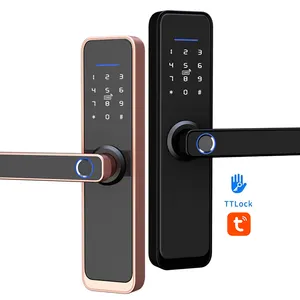 Smart Home Door Lock Residence Tuya Smart Fingerprint Passcode Card Wifi Lock
