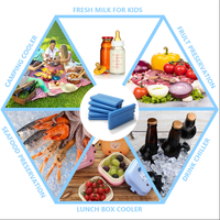 Blocs de glace et briques de glace pour congélateur avec chaîne du froid personnalisés vente en gros boîtes à déjeuner isothermes et glacières bon marché packs de glace de qualité supérieure